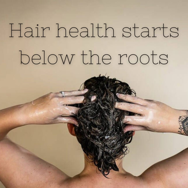 Hair Health Starts Below The Roots!