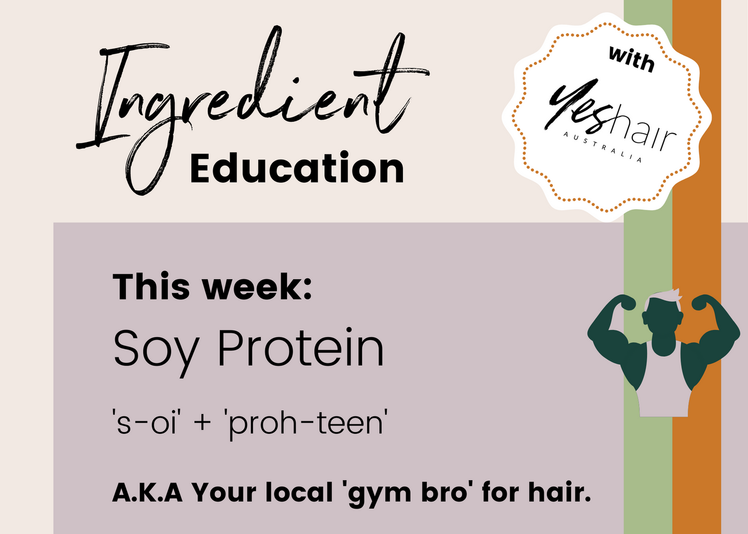 Ingredient Education Series - Soy Protein